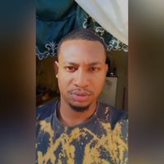 selecta stern