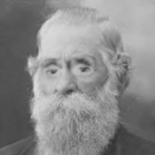 Worms Vs Birds (modest mouse)[sensual squirrel remix]