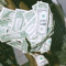 moneyflippa