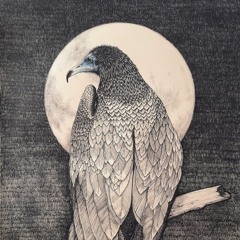 Neophron