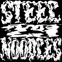 SteelNoodles29