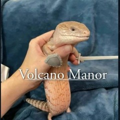 you insignificant fuck