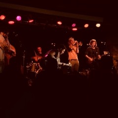 Mrs. Pinky and The Great Fox