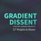 Gradient Dissent - a Machine Learning Podcast