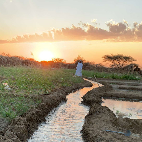 ‎⁨الألبوم الاول للشاعر كامل الحليلي٨الظلم الصريح💔 2⁩.m4a