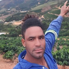 M.taenga