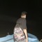 Amr AbdAlsattar