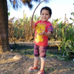 Doaa Elsabahy Eisa