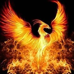PhoenixLife Music