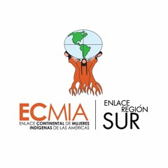 Ecmia Región Sur