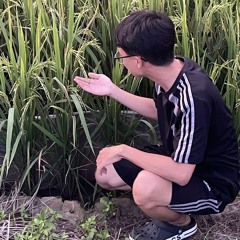 Dân Chơi Phố Cổ ♪