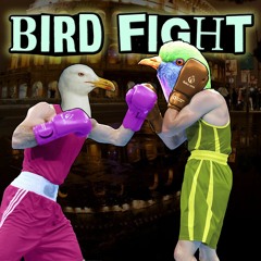 BIRD FIGHT