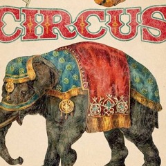 Culture Circus