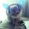 miau