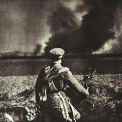 Selcuk Alphan Şahin