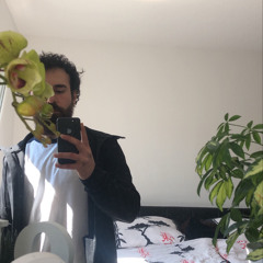 Stai Zito