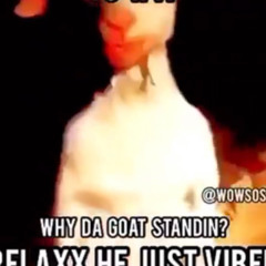 RAE B