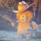 Ted