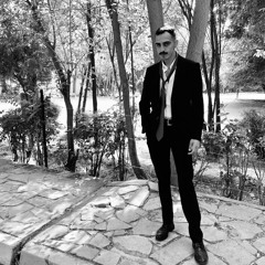 Ayman Shamil