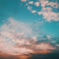 Huthaifa Alshoqran