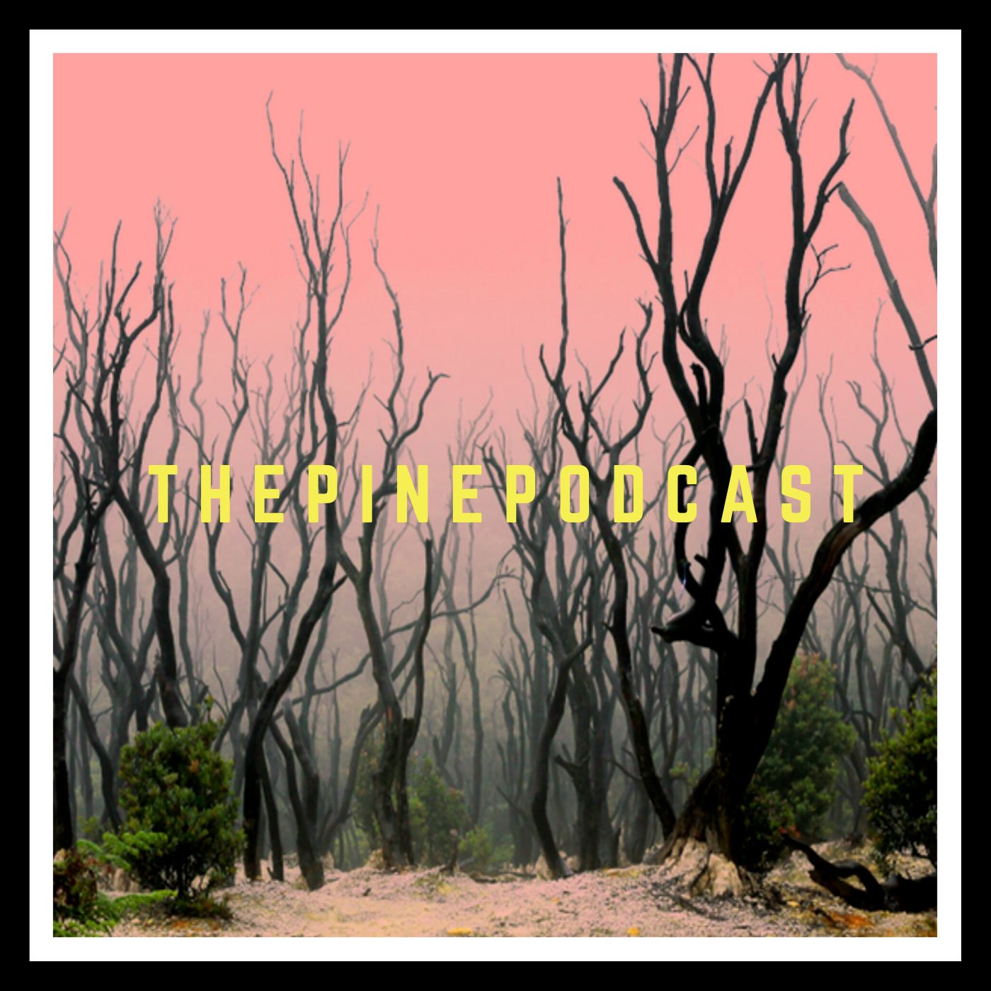 ThePinePodcast podcast artwork