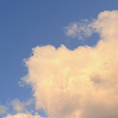 سورة ق / تهجد ١٤٤٥