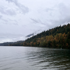 Tình Yêu Dại Khờ [Gold Mk Remix]- Hùng Quân | Hàng vạn thương đau anh giấu trong tim anh rồi