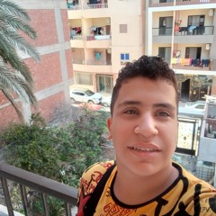 Mostafa Osry EL Halawany