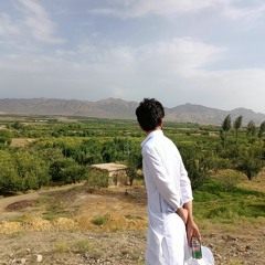 Sayal Afghan