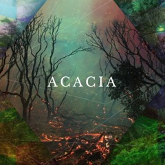 Acacia