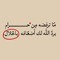 Alaa Elkady