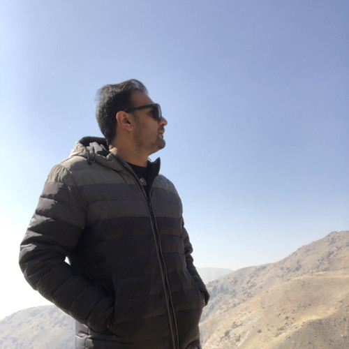 Mohammad Mehdi Abadtalab’s avatar