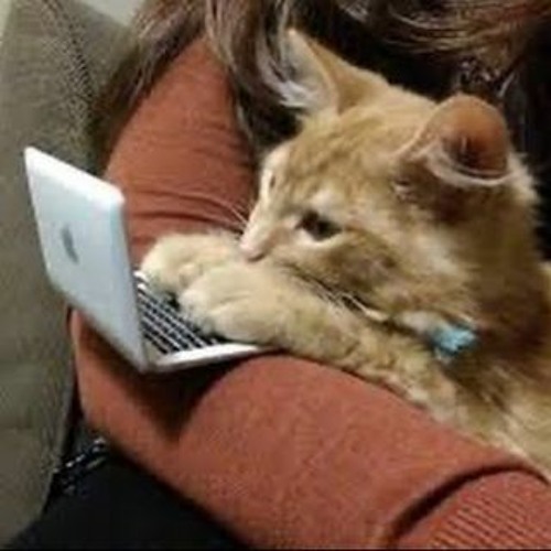 KeGlizzyy- Stat Tracker (Feat. WTM Solid)