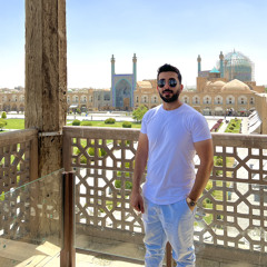 mehdi lotfi