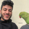 eliad