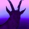 Prod.blkgoat
