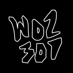 WOZ301