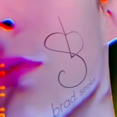 brad, seeker