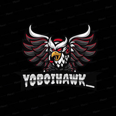yoboihawk_