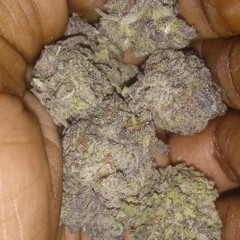 SoSowavyChillKief🔥💨💯