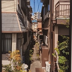 퓨🩵