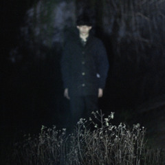 Luca Fitzgerald