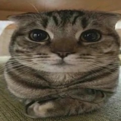 nhtxwd