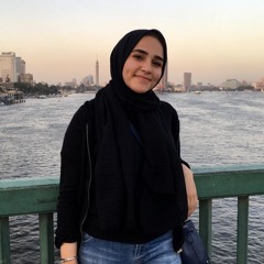 Dina Sakr