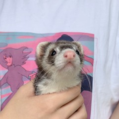 fo