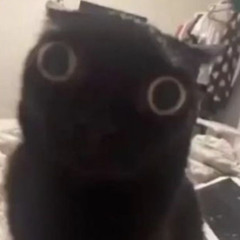whatafuck is this holy shit