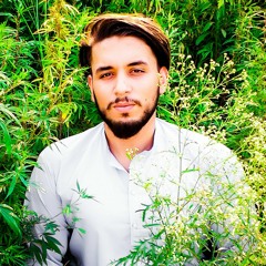 Mohsin Zaman