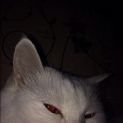 Hijacker