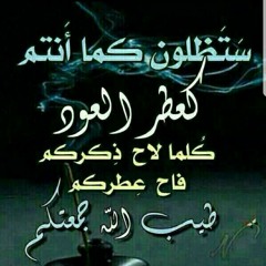 Ahmed Moooorsy