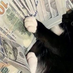 user1509867